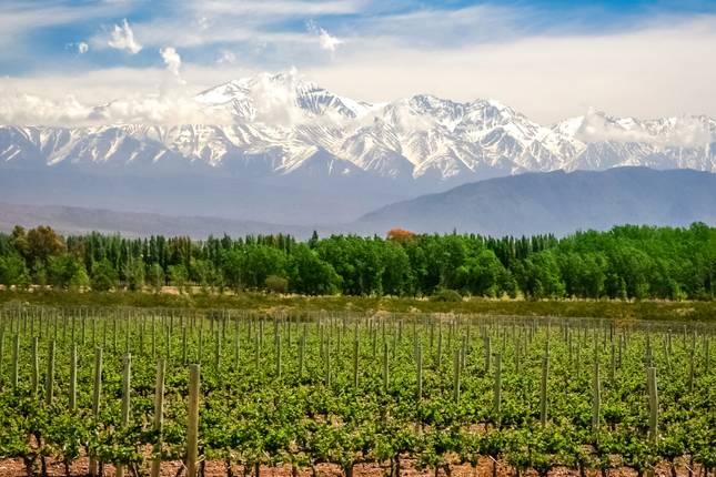 Wines & Wonders of South America