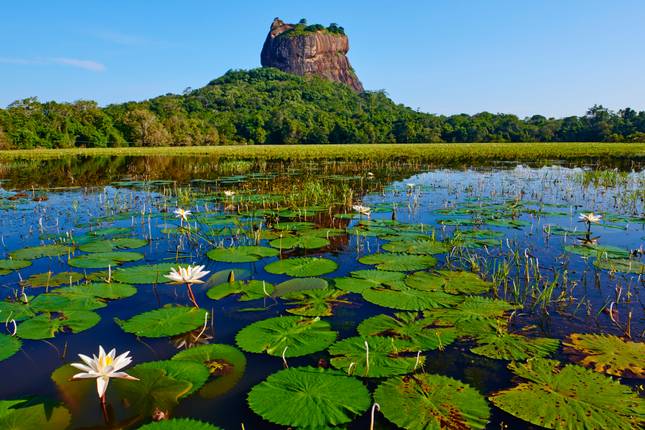 07 Day Sri Lanka Tour