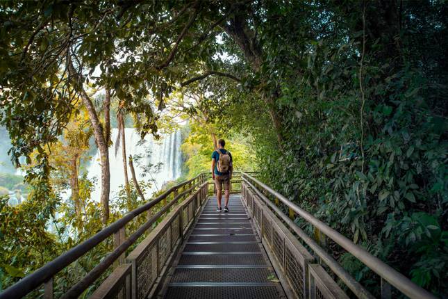 Viva Brazil: Rhythm of Rio & Iconic Iguazú