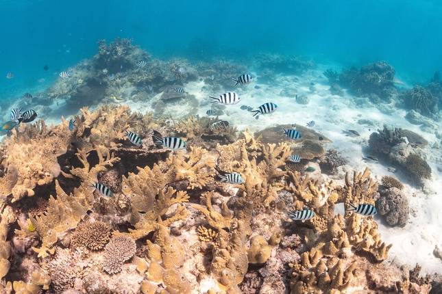 West Coast Adventure (Southbound)