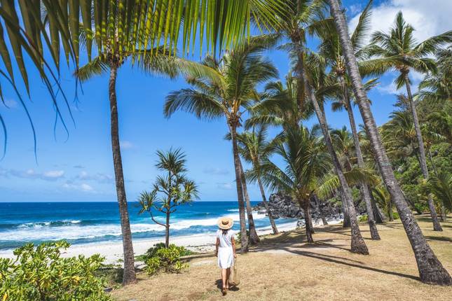 Bonjour on the Creole Volcanic Island