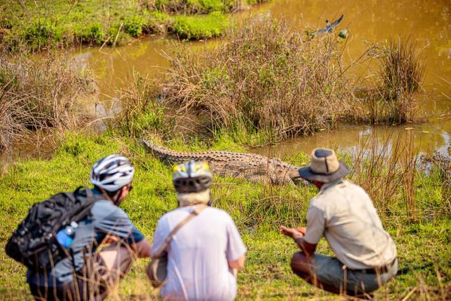 3-Day Eswatini Cultural and Scenic Expedition