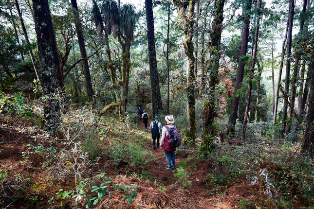 Hiking in Mexico: Oaxaca’s Indigenous Highlands