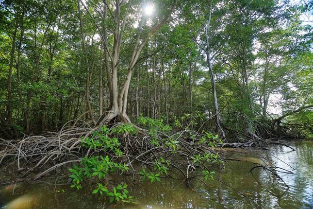 Discover Guatemala, Honduras & El Salvador