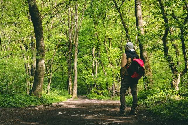 Hiking in Romania: Via Transilvanica Trail