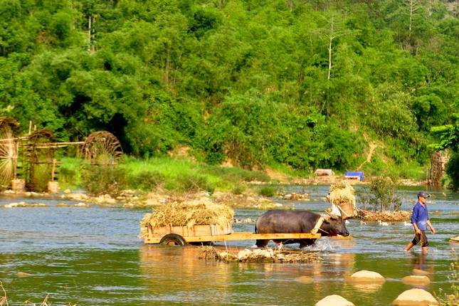 Vietnam Abenteuer von Süden nach Norden in 14 Tagen (14 Tage)