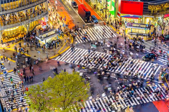 Essential Tokyo & Mount Fuji - 5 days