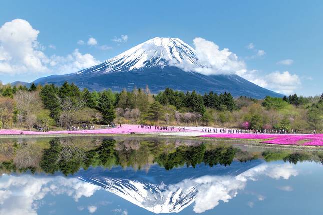 Essential Tokyo & Mount Fuji - 5 days
