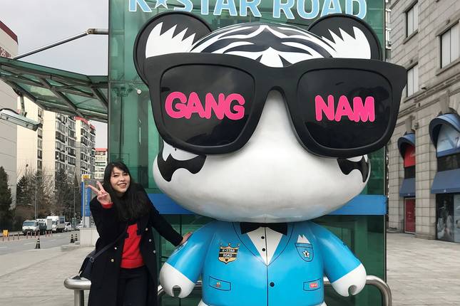 Seoul In Depth & DMZ - 6 days