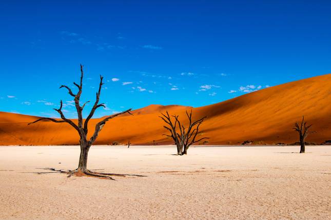 Amazing Southern Africa (from Cape Town to Victoria Falls)