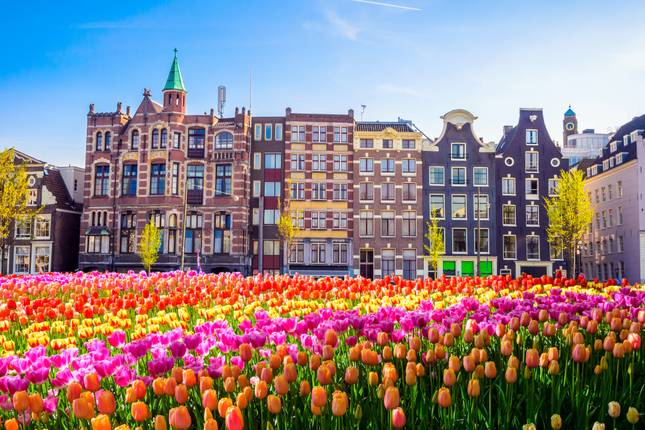 Romantic Rhine & Moselle with Amsterdam 2027 - 17 Days (from Amsterdam to Basel)