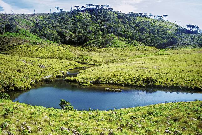 Sri Lanka fur Singles und Alleinreisende