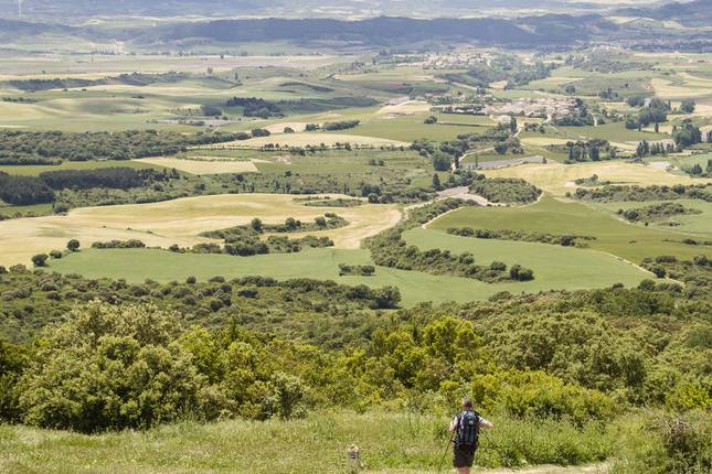 Walking the Camino de Santiago (New8day)