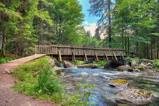 Im Herzen des Trentino: Wandern durch das Val di Sole (8 Tage)