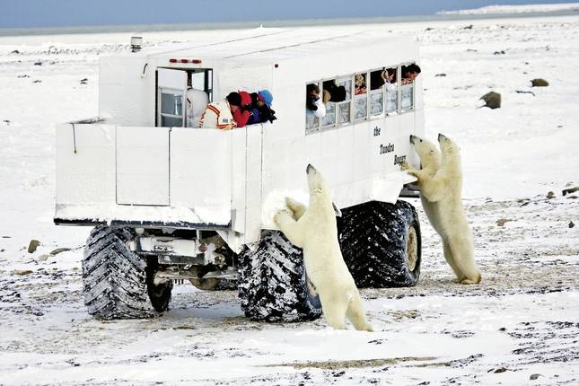 Ice barbarian experience with Tundra Buggy Lodge (6 nights)