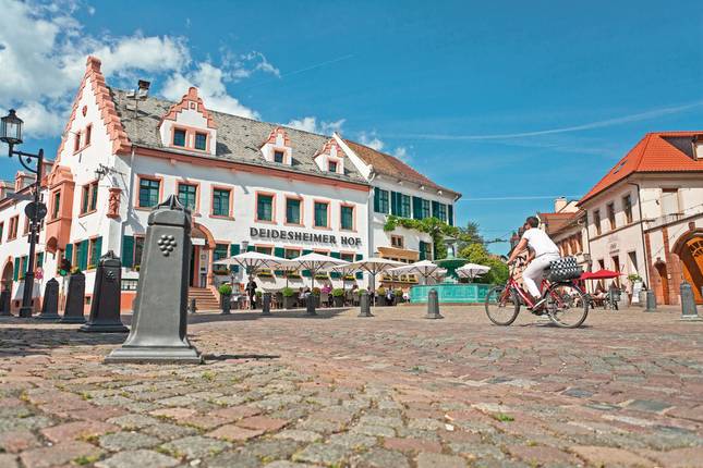Pfalzer Weinsternfahrt