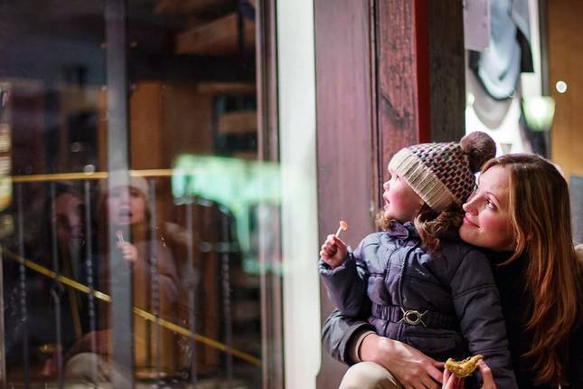 Donau Weihnachtstraum 2025