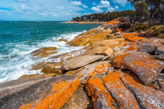 Tasmania & Flinders Island Explorer (Small Group, End Hobart)