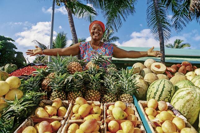 Highlights of the Dominican Republic