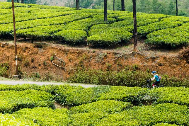 Cycle South India - Tamil Nadu to Kerala