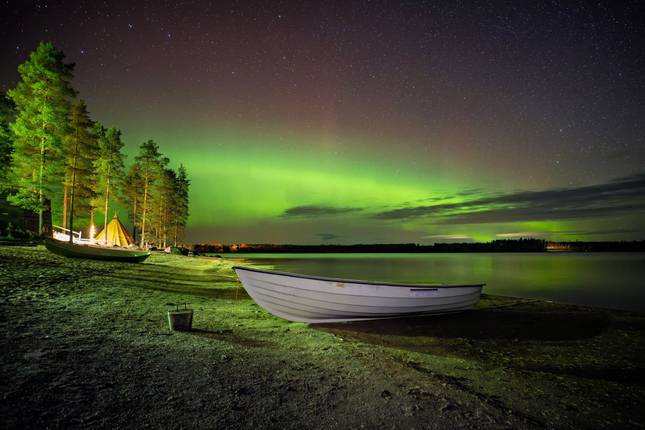 A photo Adventure in the wild taiga