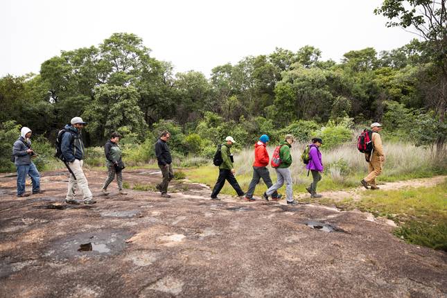 Cape Town to Kenya (34 destinations)