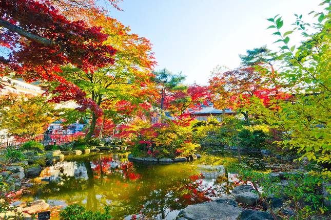 Magical and Dreamy Japan