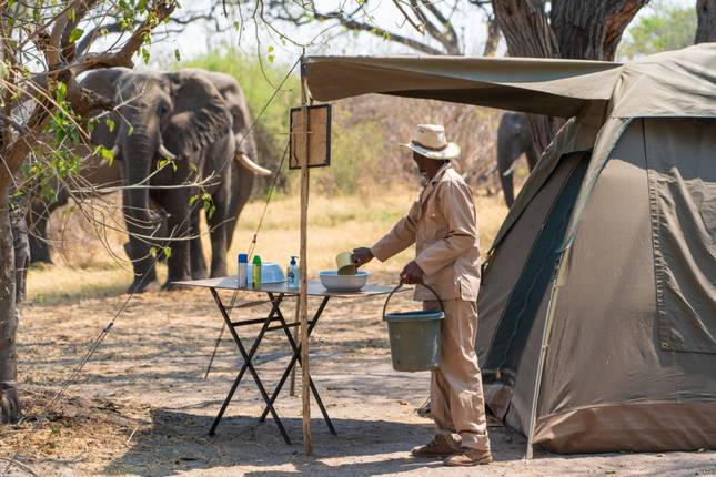 Botswana Wilderness Trail: 8-Day Moremi, Savuti & Chobe Safari