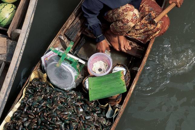 Southeast Asia Explorer
