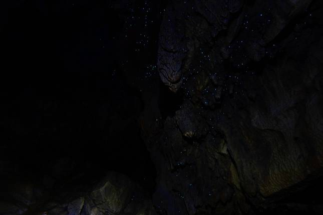 The Great Northern Road Trip