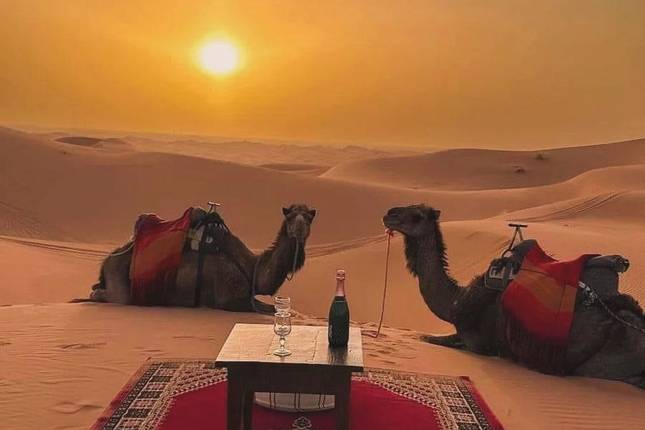 7-Day Morocco Highlights: Casablanca, Fes, Chefchaouen & the Sahara