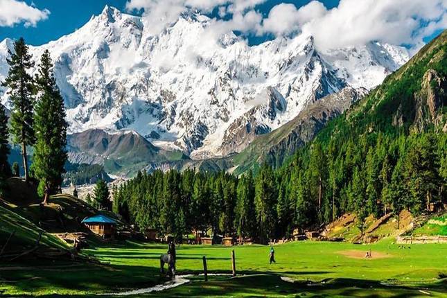 Fairy Meadows and Nanga Parbat *TREK*