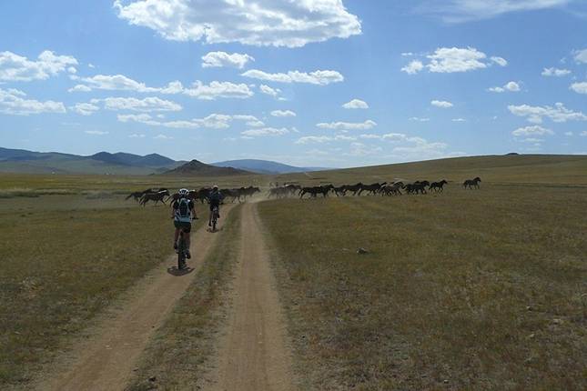 Cycling in Mongolia