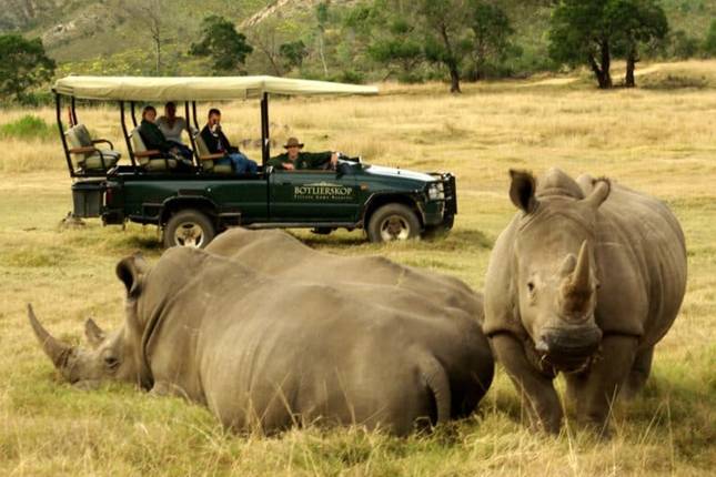 3-Day Customizable Garden Route Explorer Package