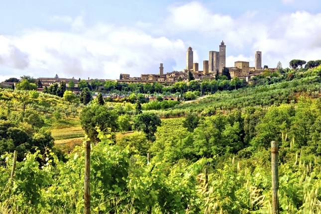 Tuscany Walks & Chianti Wines