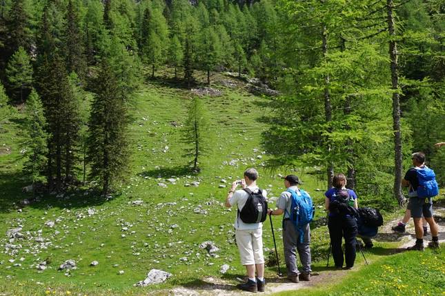 Walking the Slovenian Alps