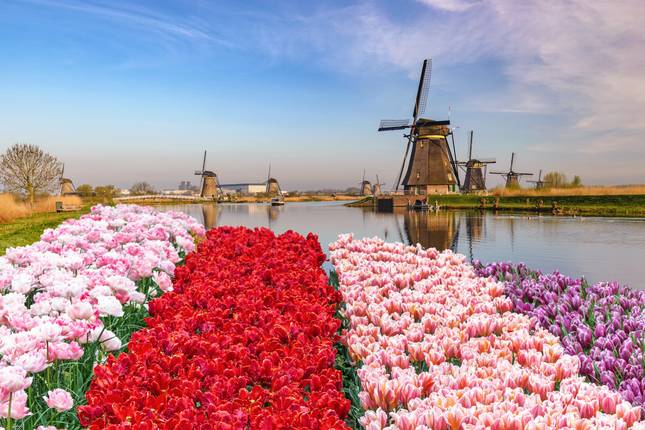 Tulip Serenade (Amsterdam - Amsterdam) (15 destinations)