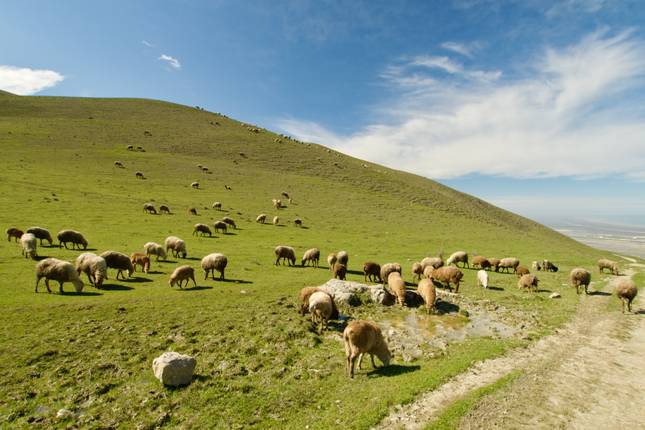 Azerbaijan - a Hidden Treasure of the Caucasus