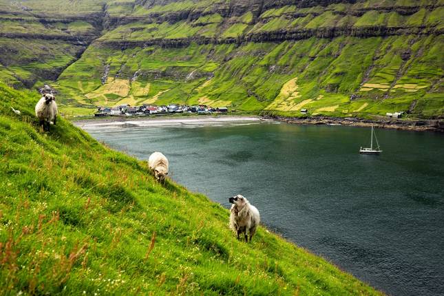 Faroe Islands - small Islands, great diversity 8 Days