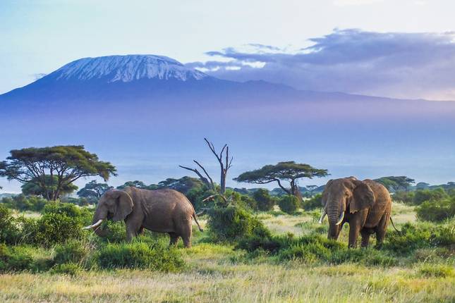 Safari to the Taita Hills, Short Break (On Request)