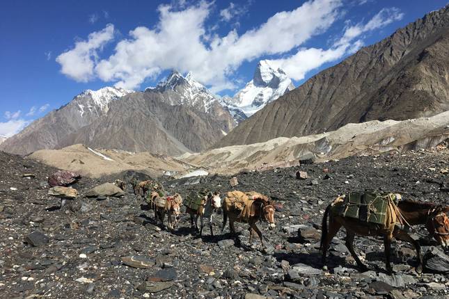 Pakistan - Throne room of the Mountain gods: K2 Base Camp Trek 19 Days
