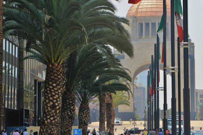 IN THE FOOTSTEPS OF CORTES AND MEXICAN GULF CULTURES