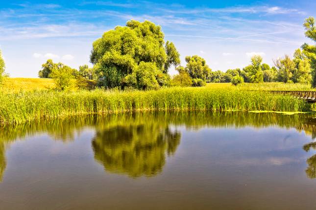The majestic Danube, the authentic Sava and Lake Balaton (port-to-port cruise)
