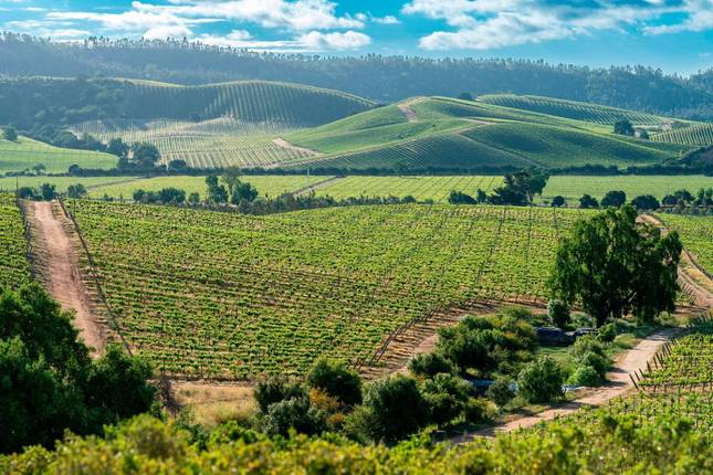 3-Day Chile Santiago, Valparaíso & Viña del Mar Escape