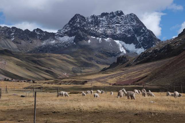Best of Peru