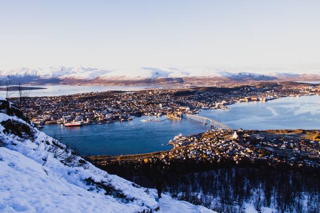 Magical Tromsø: Northern Lights, Reindeer, Whales and Dog Sledding