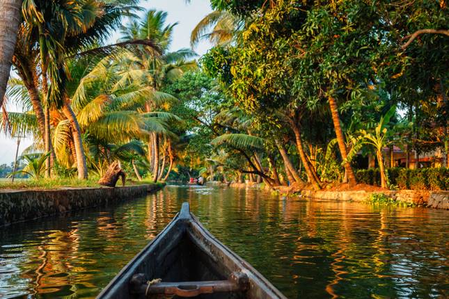 Kerala Tour - Nature, Wildlife & Backwaters | Short Tour of 3-days