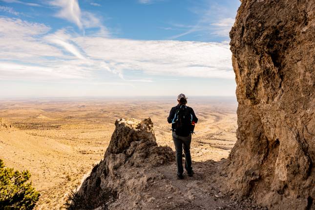 From Cacti to City Streets: Exploring the Southwest & Texas