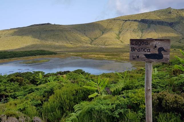 Escapade de 3 jours à Flores : l'île la plus à l'ouest de l'Europe circuit