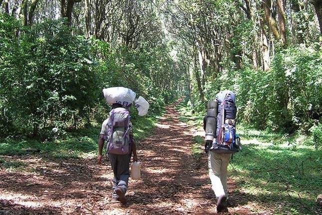 Kilimanjaro Climb Umbwe Route